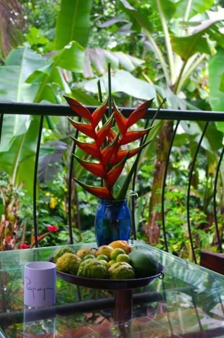 Papayas Self Catering Room Victoria Extérieur photo